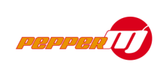 pepperM - Martin Schmidt